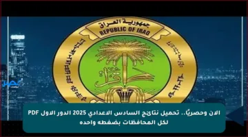 الآن وحصريًا.. تحميل نتائج السادس الإعدادي 2025 الدور الأول PDF لكل المحافظات بضغطة واحدة